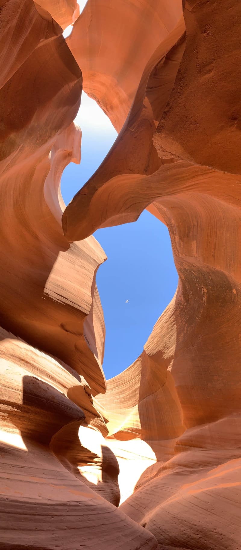 Rust-orange Antelope Canyon walls curl around a keyhole opening of deep blue sky, seen straight up from the canyon floor
