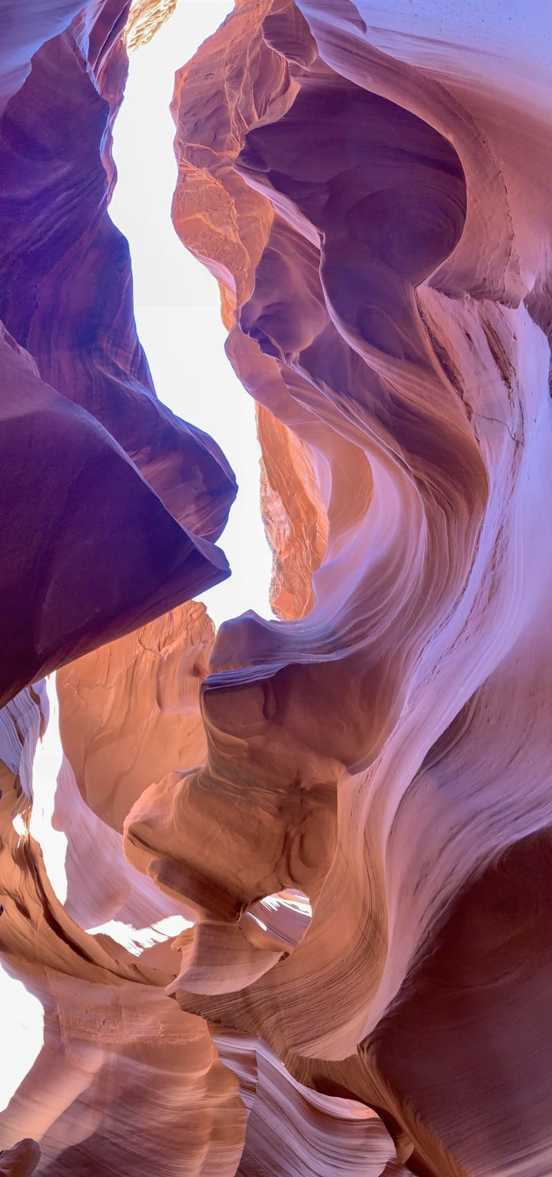 Looking up in Antelope Canyon, purple shadowed sandstone at left and orange glowing curves at right under a bright sky slit