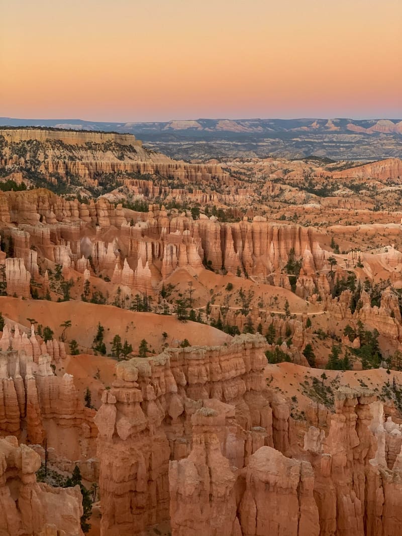 Bryce Canyon hoodoos glowing pink and orange at dusk, scattered pines among the spires under a peach-to-blue sky